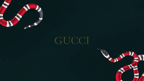 Gucci snake wallpaper 4k